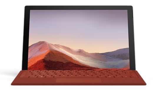 波莲镇清洁和维护 Surface